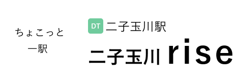 ライズの特集の名前です